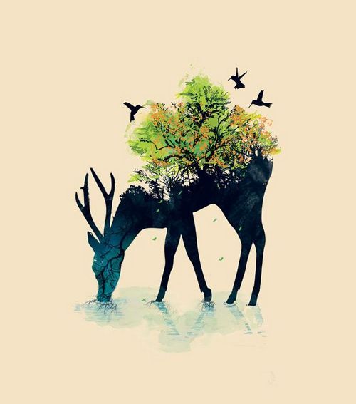 林深時見鹿